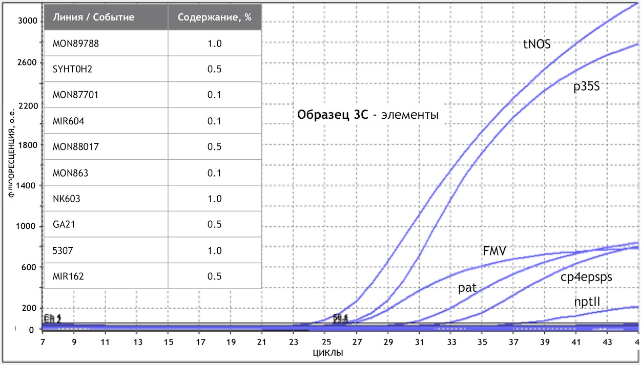 Образец 3C - генетические элементы